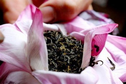 Kết duyên trà hoa
