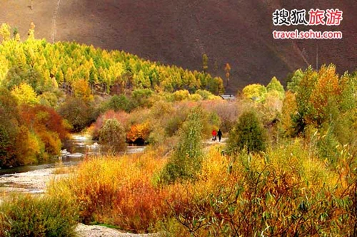 Sắc màu chớm thu ảnh 4