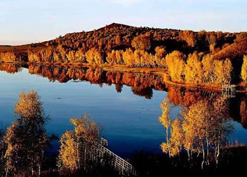 Lá phong đỏ trên núi Hương Sơn, Bắc Kinh. Ngắm lá bulo vàng rực vào cuối tháng 9, đầu tháng 10 ở vùng đồng cỏ Bá Thượng, tỉnh Hồ Bắc. Tới núi Tê Hà, Giang Tô, ngắm rừng phong đỏ rực vào cuối tháng 11, đầu tháng 12. Công viên rừng quốc gia ở Quảng Đông cũng là địa điểm thú vị để ngắm lá phong. Làng Changxi, huyện Vụ Nguyên, Giang Tây có vẻ đẹp ấn tượng của lá phong đỏ đối lập với vẻ cổ kính của những ngôi nhà theo kiến trúc Hồi. Khoảng tháng 12, rừng cây bạch quả chuyển màu vàng rượi tại làng Haiyang, tỉnh Quảng Tây. Miyaluo ở tỉnh Tứ Xuyên cũng là nơi tuyệt vời để ngắm lá phong, lá bulo, vào khoảng tháng 11 và 12. Thung lũng Jiuzhai, Tứ Xuyên có cảnh đẹp quyến rũ bởi màu sắc đối lập giữa lá phong đỏ và nước hồ trong xanh. Thời điểm lý tưởng nhất để ngắm cảnh là vào tháng 11. Rừng cây dương chuyển vàng rực vào tháng 11 ở Ejinaqi, Nội Mông.