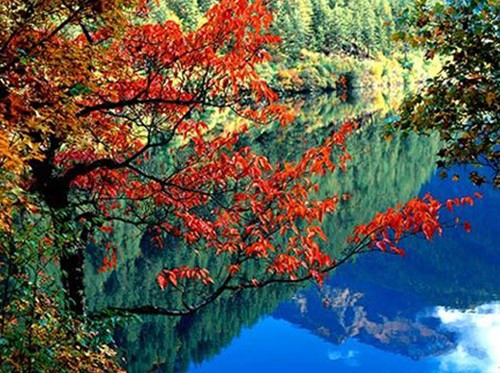 Lá phong đỏ trên núi Hương Sơn, Bắc Kinh. Ngắm lá bulo vàng rực vào cuối tháng 9, đầu tháng 10 ở vùng đồng cỏ Bá Thượng, tỉnh Hồ Bắc. Tới núi Tê Hà, Giang Tô, ngắm rừng phong đỏ rực vào cuối tháng 11, đầu tháng 12. Công viên rừng quốc gia ở Quảng Đông cũng là địa điểm thú vị để ngắm lá phong. Làng Changxi, huyện Vụ Nguyên, Giang Tây có vẻ đẹp ấn tượng của lá phong đỏ đối lập với vẻ cổ kính của những ngôi nhà theo kiến trúc Hồi. Khoảng tháng 12, rừng cây bạch quả chuyển màu vàng rượi tại làng Haiyang, tỉnh Quảng Tây. Miyaluo ở tỉnh Tứ Xuyên cũng là nơi tuyệt vời để ngắm lá phong, lá bulo, vào khoảng tháng 11 và 12. Thung lũng Jiuzhai, Tứ Xuyên có cảnh đẹp quyến rũ bởi màu sắc đối lập giữa lá phong đỏ và nước hồ trong xanh. Thời điểm lý tưởng nhất để ngắm cảnh là vào tháng 11. Rừng cây dương chuyển vàng rực vào tháng 11 ở Ejinaqi, Nội Mông.