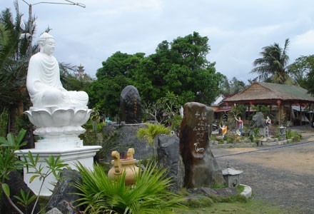 thanhluong-3.jpg