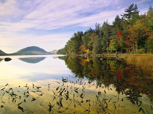 Cây phong Nhật Bản ở North Carolina. Gấu xám Alaska. Cây phong đỏ rực ở Utah. Hồ Eagle ở Maine. Rừng cây dương lá rung ở Colorado. Núi Marcellina, Colorado. Thung lũng Shenandoah ở Virginia. Công viên Denali State, Alaska. Công viên Trung tâm, New York. Portland, Maine. Cây phong Nhật Bản ở North Carolina. Gấu xám Alaska. Cây phong đỏ rực ở Utah. Hồ Eagle ở Maine. Rừng cây dương lá rung ở Colorado. Núi Marcellina, Colorado. Thung lũng Shenandoah ở Virginia. Công viên Denali State, Alaska. Công viên Trung tâm, New York. Portland, Maine.