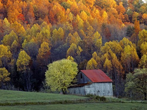 Cây phong Nhật Bản ở North Carolina. Gấu xám Alaska. Cây phong đỏ rực ở Utah. Hồ Eagle ở Maine. Rừng cây dương lá rung ở Colorado. Núi Marcellina, Colorado. Thung lũng Shenandoah ở Virginia. Công viên Denali State, Alaska. Công viên Trung tâm, New York. Portland, Maine. Cây phong Nhật Bản ở North Carolina. Gấu xám Alaska. Cây phong đỏ rực ở Utah. Hồ Eagle ở Maine. Rừng cây dương lá rung ở Colorado. Núi Marcellina, Colorado. Thung lũng Shenandoah ở Virginia. Công viên Denali State, Alaska. Công viên Trung tâm, New York. Portland, Maine.