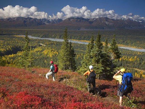Cây phong Nhật Bản ở North Carolina. Gấu xám Alaska. Cây phong đỏ rực ở Utah. Hồ Eagle ở Maine. Rừng cây dương lá rung ở Colorado. Núi Marcellina, Colorado. Thung lũng Shenandoah ở Virginia. Công viên Denali State, Alaska. Công viên Trung tâm, New York. Portland, Maine. Cây phong Nhật Bản ở North Carolina. Gấu xám Alaska. Cây phong đỏ rực ở Utah. Hồ Eagle ở Maine. Rừng cây dương lá rung ở Colorado. Núi Marcellina, Colorado. Thung lũng Shenandoah ở Virginia. Công viên Denali State, Alaska. Công viên Trung tâm, New York. Portland, Maine.