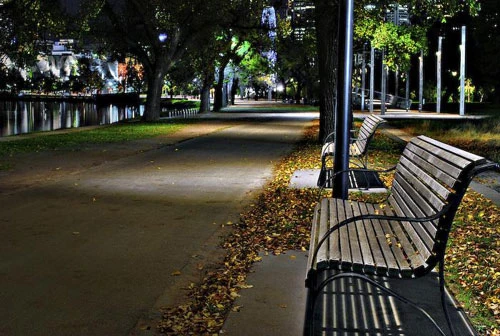 Vàng rực sắc thu