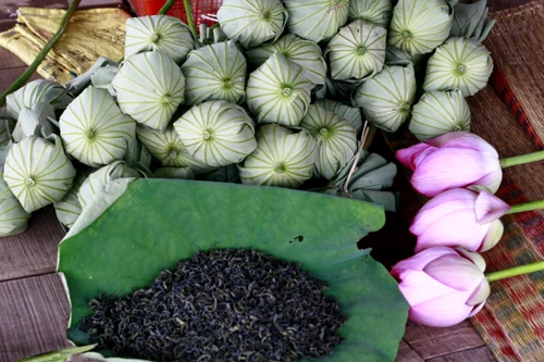 Sáng sớm thức dậy mua sen Hà Thành ảnh 12