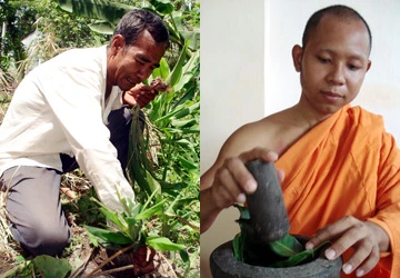 Thầy thuốc rắn bảy núi «« Bài 1 : Thầy rắn lưỡi đen và nhà sư cứu người ảnh 1