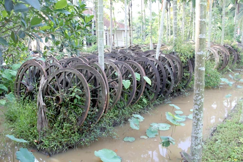 Khu vườn của Sỹ Hoàng còn chứa bộ sưu tập bánh xe bò lên đến hàng nghìn chiếc. Anh cho biết, sẽ dần suy nghĩ cách biến bánh xe bò thành tác phẩm nghệ thuật sáng tạo.