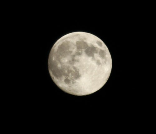 Trung thu rộn ràng trên đất Trung Hoa ảnh 1 Trung thu rộn ràng trên đất Trung Hoa