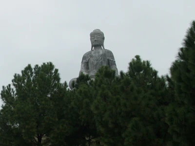 Đứng từ quốc lộ 1 cũng nhìn thấy Đại Phật tượng