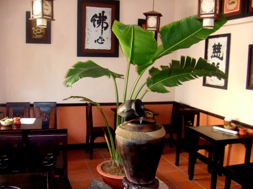 Cuối thu đi thưởng trà ở Tâm trà quán