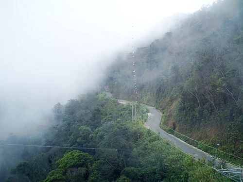 Nhà chờ để mọi người có thể lên cáp treo lên đến đỉnh cao nhất của Bà Nà Tượng Phật ngồi thiền uy nghi trên đỉnh núi Hoa cẩm tú cầu trên đỉnh Bà Nà Trên đường từ cáp treo lên đỉnh, nhìn ra ngoài ta thấy được những thác nước Con đường ngoằn ngoèo trong sương mù khiến cho khung cảnh thêm phần mờ ảo Bảng ghi độ cao của đỉnh Nơi lưu giữ bằng chứng nhận hai kỷ lục Guinness và một đoạn dây cáp treo