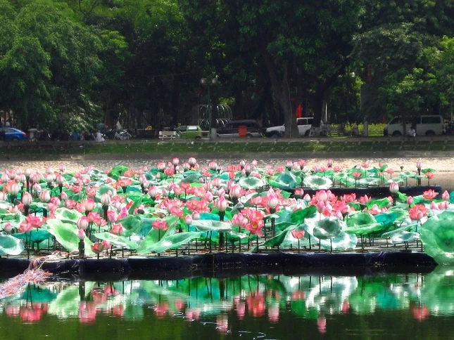 1.000 bông sen nhân tạo khoe sắc thắm trên hồ Thiền Quang.