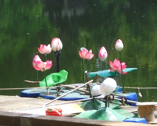 Sen được lắp đặt nổi trên mặt nước với rất nhiều hệ thống đèn màu bên trong