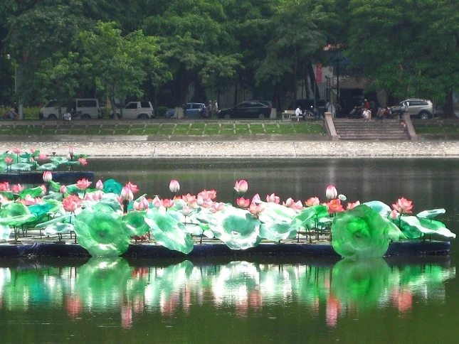 Sen hồng, lá xanh sẽ tỏa sáng trong đêm chào mừng Đại lễ.