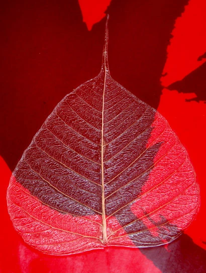 Cận cảnh lá bồ đề trong tác phẩm Nghiệp Tâm. Ảnh: TM.