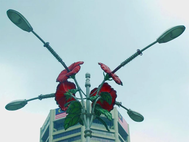 Quốc hoa của Malaysia là hoa dâm bụt.