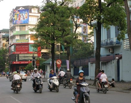 Một chút nồng nàn hoa sữa ảnh 1