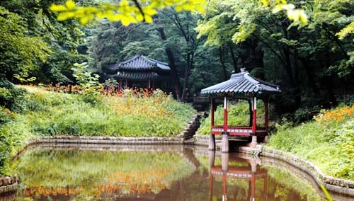 Đến Tử Cấm Thành làm Hoàng đế ảnh 15 Đến Tử Cấm Thành làm Hoàng đế, Du lịch, Cảnh đẹp, ảnh đẹp, du lịch trung quốc, tử cấm thành, du lịch giá rẻ