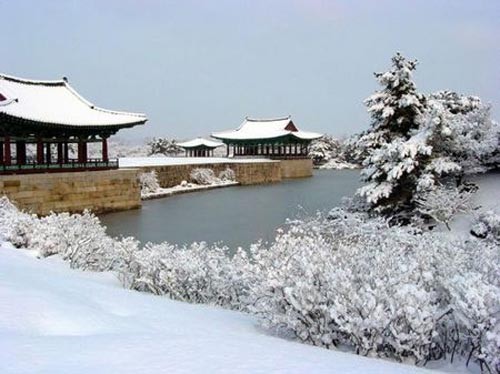 Đến Tử Cấm Thành làm Hoàng đế ảnh 16 Đến Tử Cấm Thành làm Hoàng đế, Du lịch, Cảnh đẹp, ảnh đẹp, du lịch trung quốc, tử cấm thành, du lịch giá rẻ