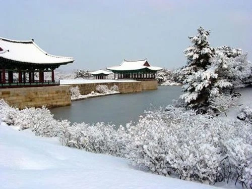 Đến Tử Cấm Thành làm Hoàng đế ảnh 16 Đến Tử Cấm Thành làm Hoàng đế, Du lịch, Cảnh đẹp, ảnh đẹp, du lịch trung quốc, tử cấm thành, du lịch giá rẻ