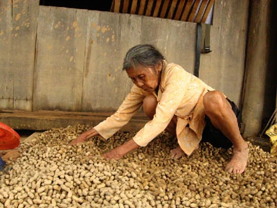 Nước lũ rút rồi, mẹ khóc! ảnh 1