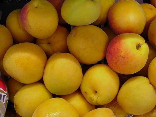 Tác dụng không ngờ của vỏ hoa quả ảnh 3