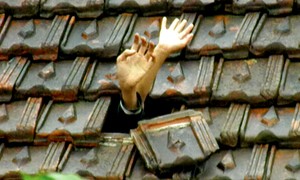 Tấm ảnh gợi nhiều xúc cảm trong lòng bạn đọc Tấm ảnh gợi nhiều xúc cảm trong lòng bạn đọc