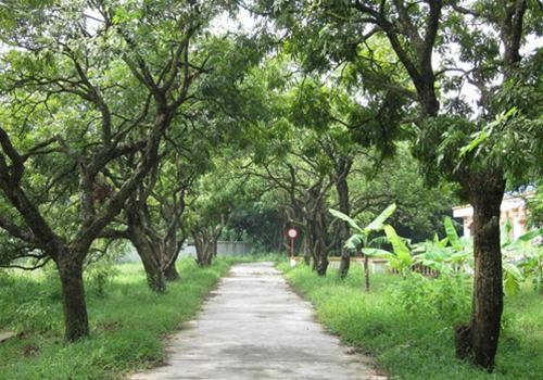 Lối vào chùa rợp bóng hàng nhãn Đôi rồng đá chạm khắc tinh xảo trong sân chùa Khu tam quan chùa Bà Đanh Kiến trúc gỗ tinh xảo trong chùa Cảnh đẹp của bãi đá cổ phía sau đền trình. Nhiều du khách đã đến chùa nhưng chưa khám phá nơi đây Cây đào tiên (sau bức phù điêu) trăm tuổi trĩu quả trong khuôn viên chùa Bà Đanh Lối vào chùa rợp bóng hàng nhãn Đôi rồng đá chạm khắc tinh xảo trong sân chùa Khu tam quan chùa Bà Đanh Kiến trúc gỗ tinh xảo trong chùa Cảnh đẹp của bãi đá cổ phía sau đền trình. Nhiều du khách đã đến chùa nhưng chưa khám phá nơi đây Cây đào tiên (sau bức phù điêu) trăm tuổi trĩu quả trong khuôn viên chùa Bà Đanh