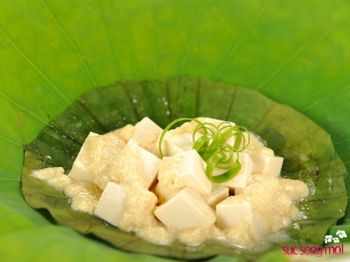 dau-phu-hap-la-sen.jpg
