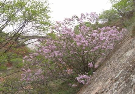 Trung Quốc: Chùm ảnh núi Tu Di - một ngọn núi trong thần thoại cổ Ấn Độ ảnh 23 ando 21.jpg