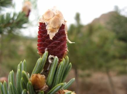 Trung Quốc: Chùm ảnh núi Tu Di - một ngọn núi trong thần thoại cổ Ấn Độ ảnh 26 ando 24.jpg