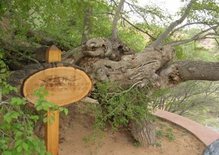 Trung Quốc: Chùm ảnh núi Tu Di - một ngọn núi trong thần thoại cổ Ấn Độ ảnh 27 ando 25.jpg