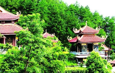 Các lầu Chuông, lầu Trống nằm xen lẫn với rừng thông. Bậc đá dẫn lên chính giữa đại điện. Tòa Đại Hùng Bảo Điện. Các đệ tử nghe giảng giải Phật pháp.