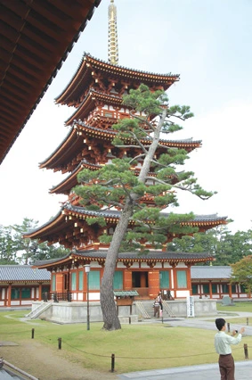 Tháp ở chùa Dược Sư Tượng Phật chùa Dược Sư Tháp ở chùa Dược Sư Tượng Phật chùa Dược Sư