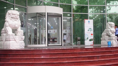 Họa sư tử ảnh 3 Họa sư tử ảnh 3