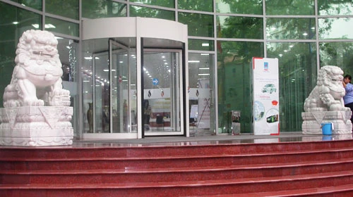 Họa sư tử ảnh 3