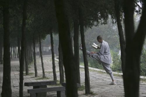 Một võ tăng đang luyện võ với câu liêm Võ sư với vẻ mặt dữ dằn chẳng kém gì Lỗ Trí Thâm Thể hiện ý chí kiên cường Các võ sư đang chăm chú nghe giảng Đọc sách đợi giờ ăn Vừa học vừa luyện võ Một phút ngẫu hứng đùa nghịch trong chùa Màn luyện võ ngoạn mục trên dốc núi Một giấc ngủ ngon Màn nhào lộn của võ sư nhí Một sư thầy với chiếc áo cà sa màu vàng Bay người như trong phim Các võ sư Thiếu Lâm thường tập luyện ở những địa điểm cheo leo mạo hiểm Một phút thảnh thơi Võ sư nhí mắm môi mắm lợi tập gập mình Giờ ăn trưa của các sư thầy Vén màn cuộc sống thần bí của võ tăng Thiếu Lâm
