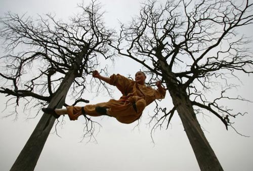 Một võ tăng đang luyện võ với câu liêm Võ sư với vẻ mặt dữ dằn chẳng kém gì Lỗ Trí Thâm Thể hiện ý chí kiên cường Các võ sư đang chăm chú nghe giảng Đọc sách đợi giờ ăn Vừa học vừa luyện võ Một phút ngẫu hứng đùa nghịch trong chùa Màn luyện võ ngoạn mục trên dốc núi Một giấc ngủ ngon Màn nhào lộn của võ sư nhí Một sư thầy với chiếc áo cà sa màu vàng Bay người như trong phim Các võ sư Thiếu Lâm thường tập luyện ở những địa điểm cheo leo mạo hiểm Một phút thảnh thơi Võ sư nhí mắm môi mắm lợi tập gập mình Giờ ăn trưa của các sư thầy Vén màn cuộc sống thần bí của võ tăng Thiếu Lâm