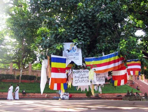 Tuần thứ sáu đức Phật ngồi thiền tại bờ hồ Mucalinda thuộc hướng Nam của đại tháp. Lúc ấy mưa to sấm chớp nổi lên, rồng chúa Mucalinda hiện ra lấy thân quấn xung quanh thân Phật và dùng đầu làm tàng lọng che cho Phật khỏi bị mưa gió làm ướt. Khối đá dài khắc biểu tượng hoa sen, chính là những đóa hoa kỳ diệu hiện ra đỡ chân đức Phật khi Ngài kinh hành lui tới trong phạm vi thiền hành tại dãy Chankramenar, dọc theo hành lang phía Bắc của đại tháp. Tư tưởng của Đức Phật đang lan tỏa toàn cầu bởi triết lý sống và đạo đức trong sáng cùng đức hy sinh cao cả