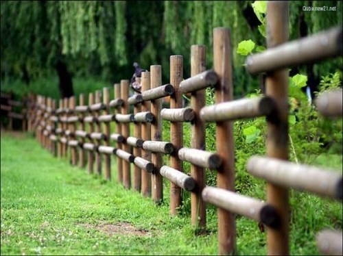 Khoảnh khắc giao mùa ảnh 1