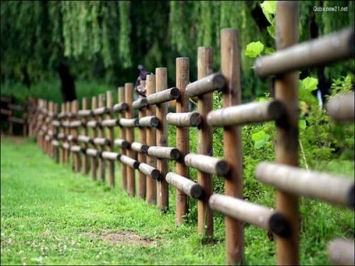 Khoảnh khắc giao mùa ảnh 1