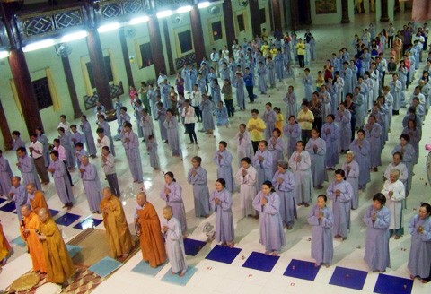 vadpq-04.jpg