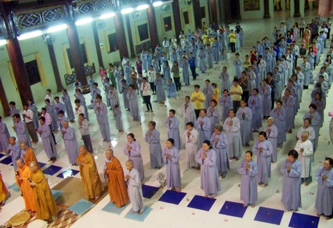 vadpq-04.jpg