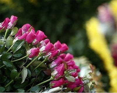 Xin lỗi chính mình ảnh 1