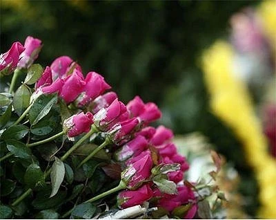 Xin lỗi chính mình ảnh 1