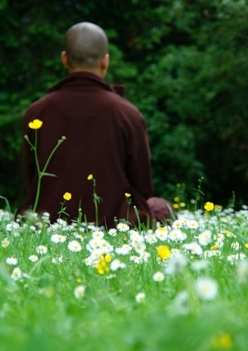 Tự do ảnh 1 Tự do ảnh 1