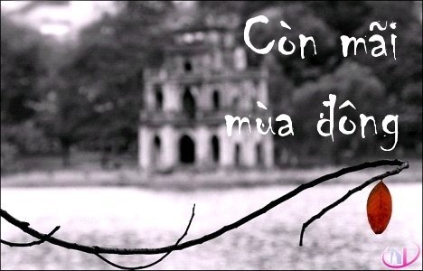 Nỗi nhớ mùa đông ảnh 1