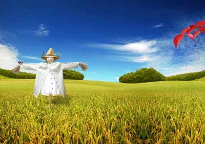 Đừng quên “dọn dẹp” trí não ảnh 6