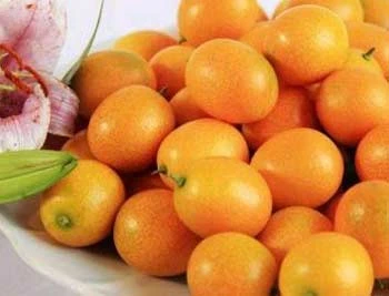 Các thực phẩm chay đánh bật “mùi” hơi thở ảnh 1